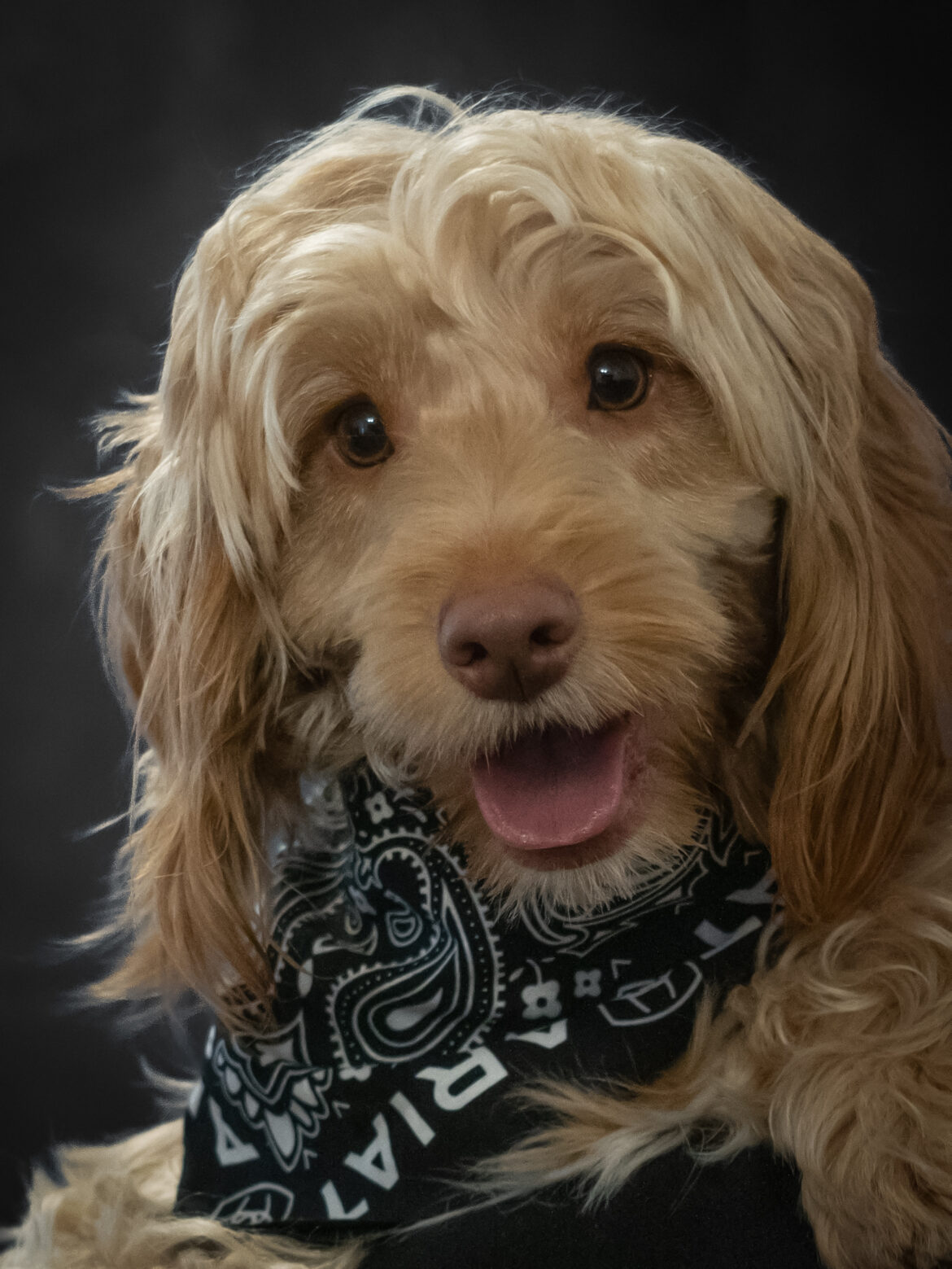 Portrait Session